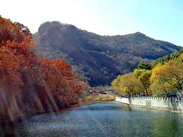 新澳天天开奖资料大全旅游团，丰田花冠召回